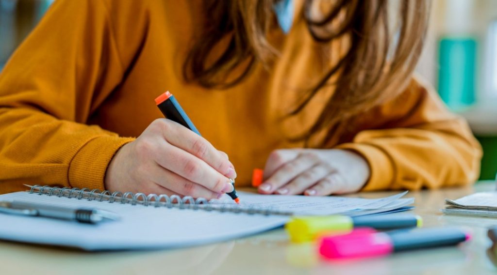 öğrenci para kazanma yolları Ödev Satmak