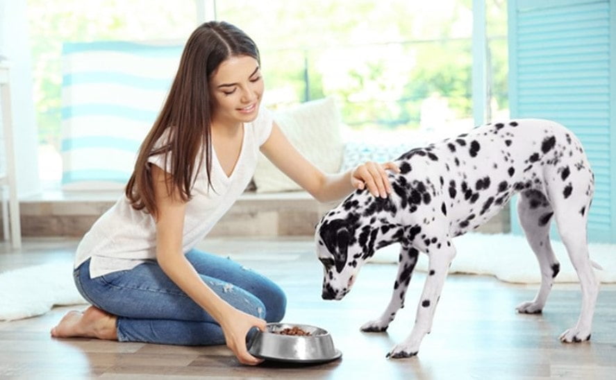 öğrenci para kazanma yolları Tıp Okurken Para Kazanmak