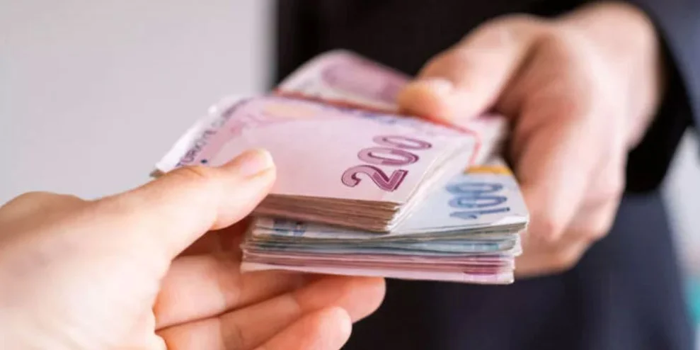 Tavuk Çiftliği Kurmak Tavuk Çiftliği Kurmak