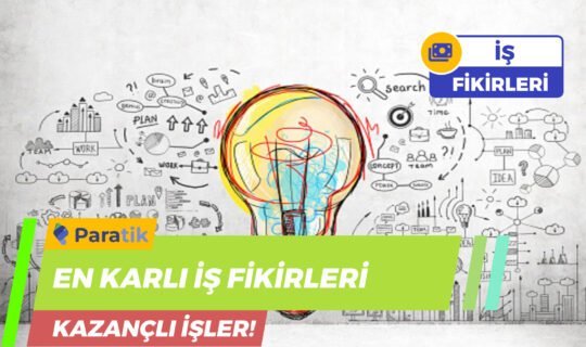 En Karlı İş Fikirleri