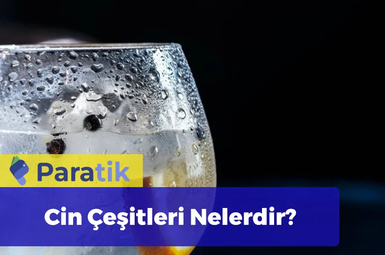 Cin Çeşitleri