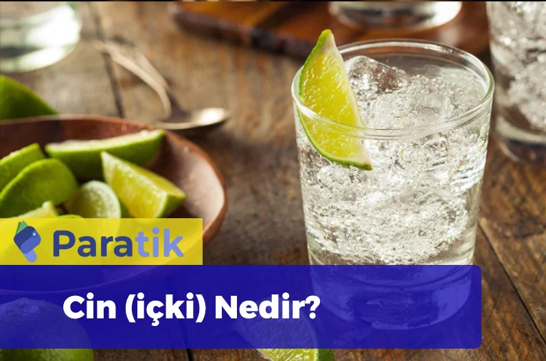 Gin Nedir