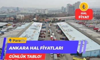 Ankara Hal Fiyatları