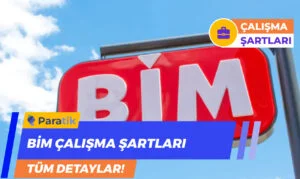 sanal asistanlık Bim Çalışma Şartları
